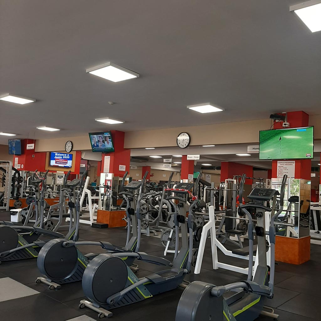 Gimnasio